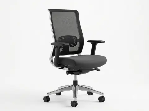Ergonomic Chair